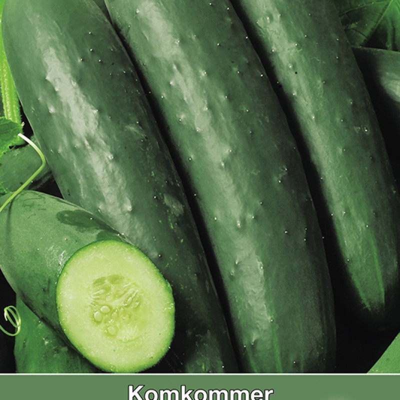 Komkommer, Cucumis sativus Sonja Komkommer, Cucumis sativus Sonja