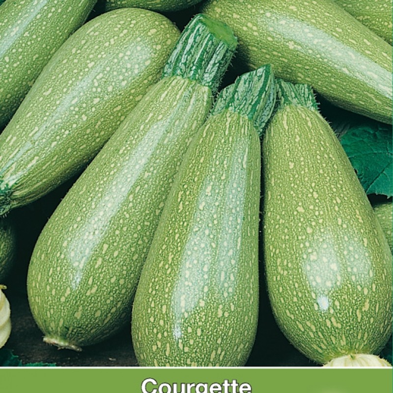 Courgette, Lorea F1 Courgette, Lorea F1