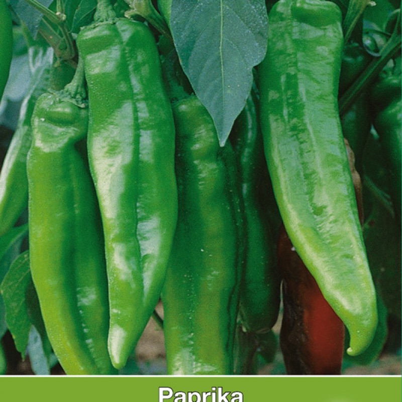 Paprika Lipari F1 Paprika Lipari F1