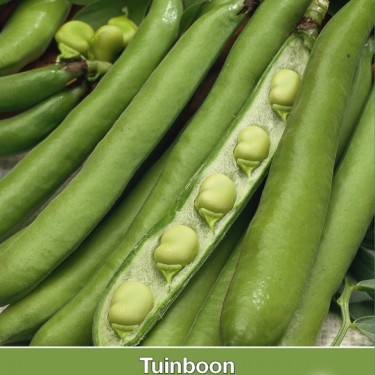 Tuinboon Groene hangers, 60 gr.