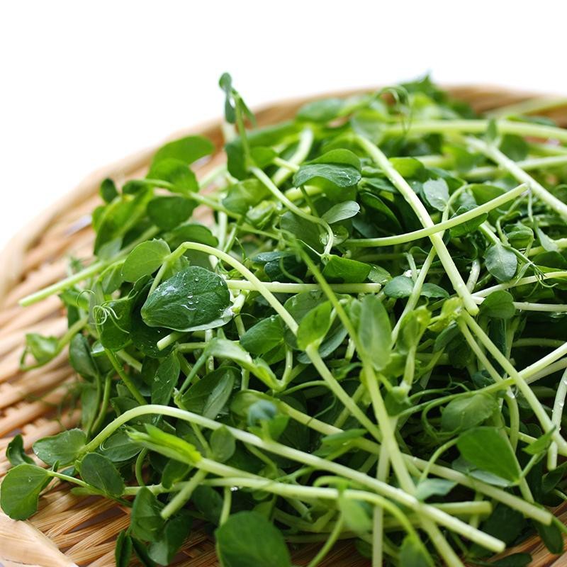 Kiemgroente Groene erwt, Pisum sativum -zaden- Kiemgroente Groene erwt, Pisum sativum -zaden-
