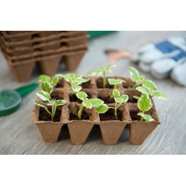 Biologisch afbreekbare potjes zonder turf, tray met 12 vakjes Biologisch afbreekbare potjes zonder turf, tray met 12 vakjes
