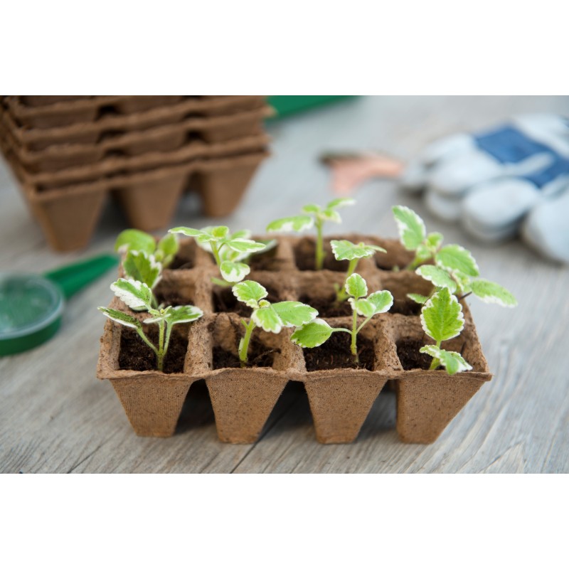 Biologisch afbreekbare potjes zonder turf, tray met 12 vakjes Biologisch afbreekbare potjes zonder turf, tray met 12 vakjes