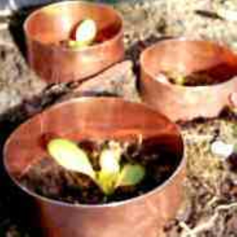 Koperringen, set 15/20/30 cm. Koperringen, set 15/20/30 cm.