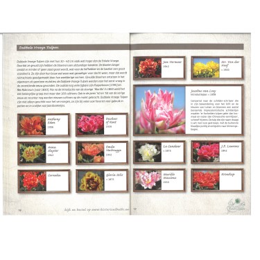 Brochure Historische Tulpen NL Brochure Historische Tulpen NL