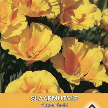 Eschscholzia californica 'Yucan Gold' -zaden- Eschscholzia californica 'Yucan Gold' -zaden-