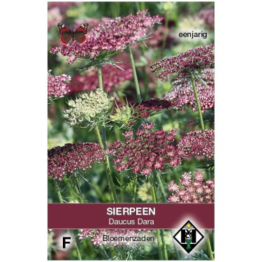 Daucus carota 'Dara' -zaden- Daucus carota 'Dara' -zaden-