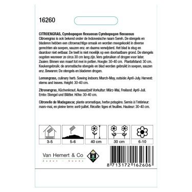 Citroengras / Cymbopogon flexuosus -zaden- Citroengras / Cymbopogon flexuosus -zaden-