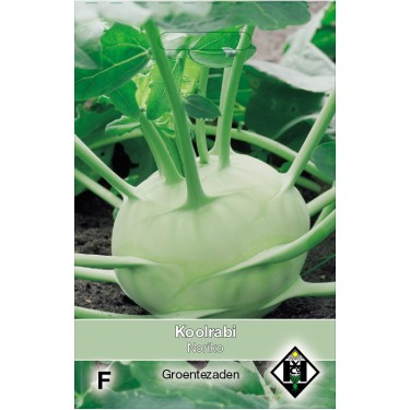 Koolrabi, Brassica oleracea gongylodes 'Noriko' -zaden-