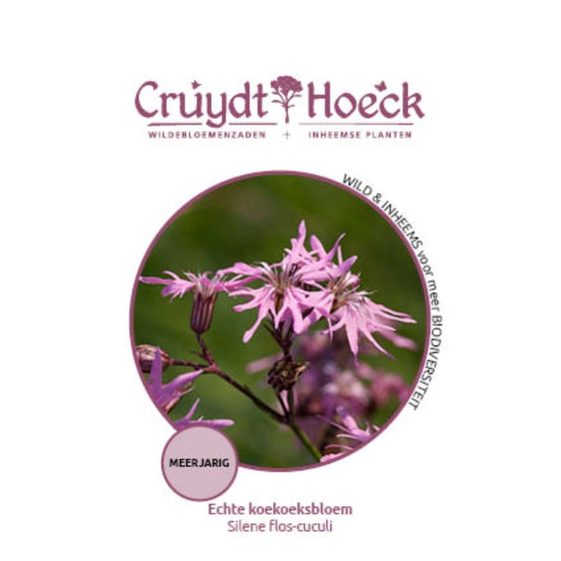 Echte koekoeksbloem - Silene flos-cuculi Echte koekoeksbloem - Silene flos-cuculi