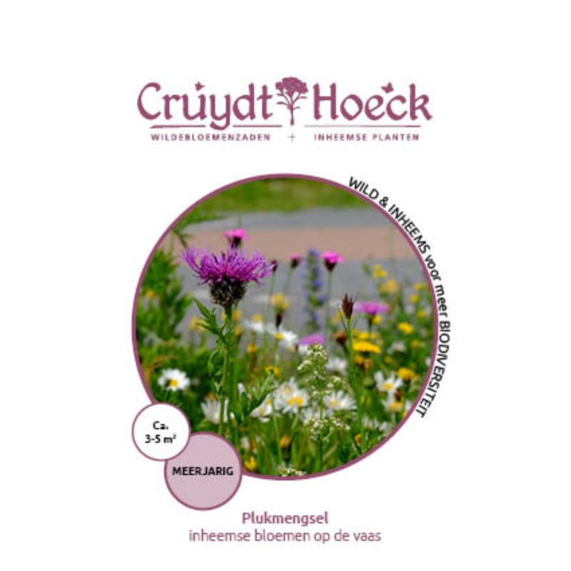 Plukmengsel - inheemse bloemen op de vaas Plukmengsel - inheemse bloemen op de vaas