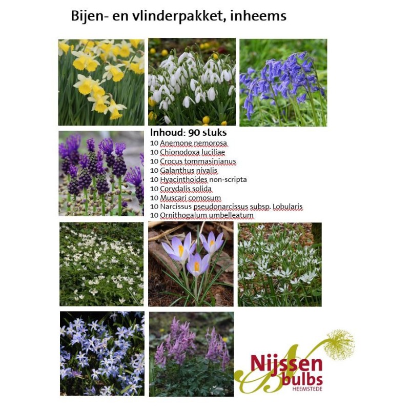Bijenpakket, inheems - 90 stuks. Bijenpakket, inheems - 90 stuks.