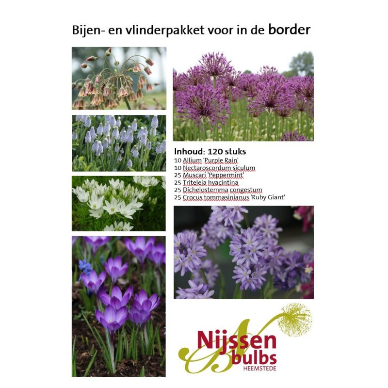 Bijenpakket voor in de border - 120 stuks. Bijenpakket voor in de border - 120 stuks.