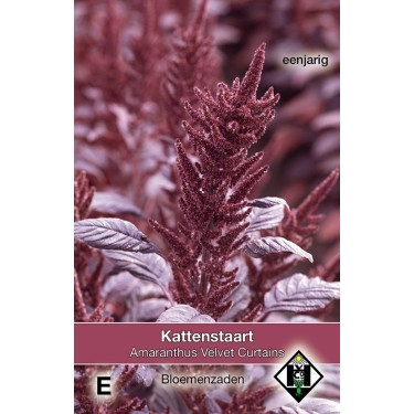 Amaranthus Velvet Curtains (Kattenstaart) -zaden-