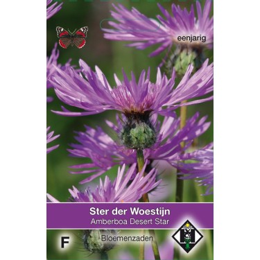 Amberboa muricata 'Desert Star' -zaden-