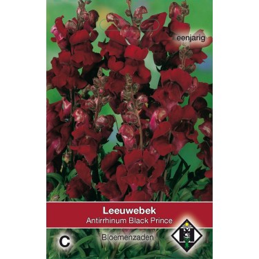 Antirrhinum majus nanum 'Black Prince' -zaden- Antirrhinum majus nanum 'Black Prince' -zaden-