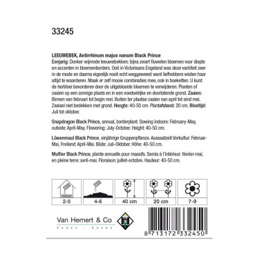 Antirrhinum majus nanum 'Black Prince' -zaden- Antirrhinum majus nanum 'Black Prince' -zaden-