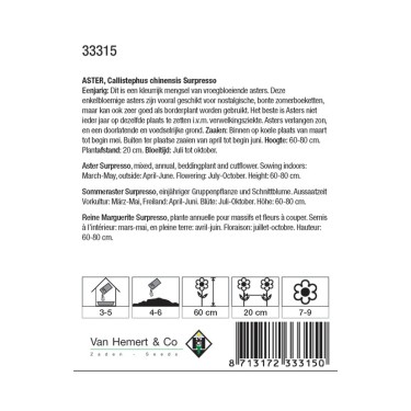Aster chinensis 'Surpresso' -zaden- Aster chinensis 'Surpresso' -zaden-