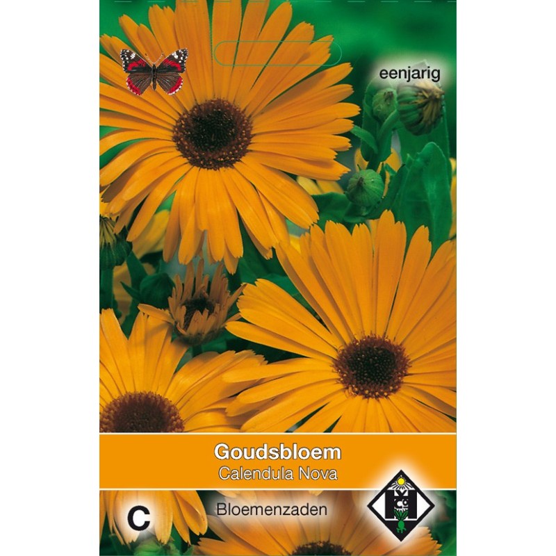 Calendula officinalis 'Nova' -zaden-