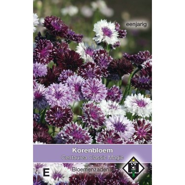 Centaurea cyanus 'Classic Magic' -zaden-