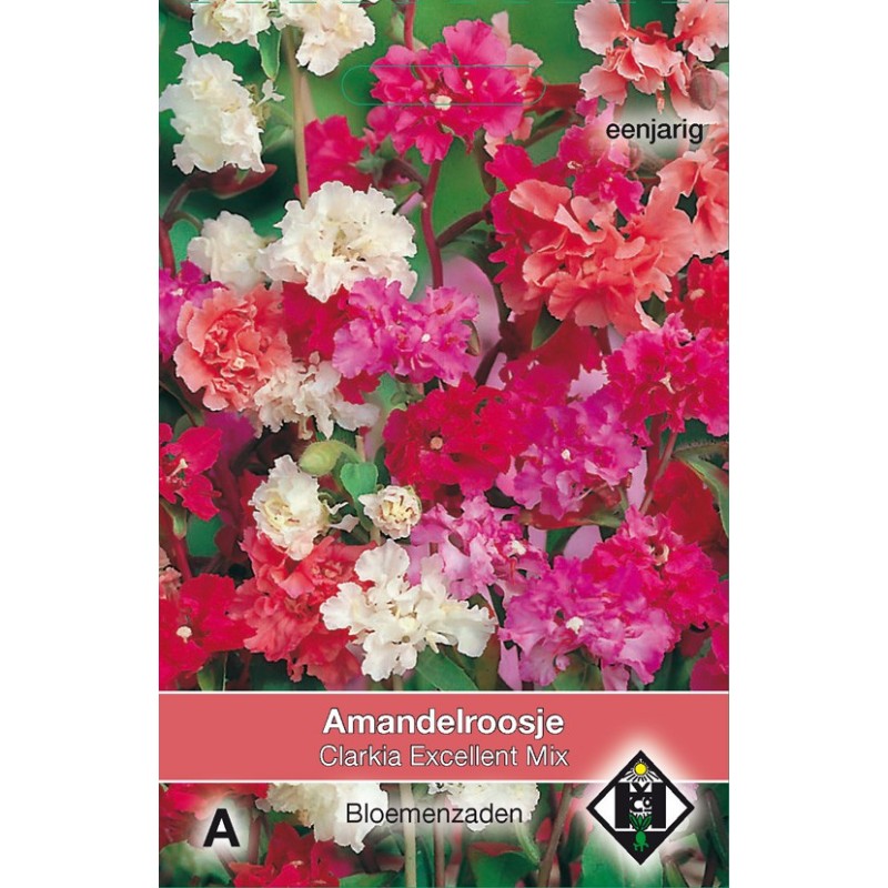 Clarkia unguiculata 'Excellent Mix' -zaden- Clarkia unguiculata 'Excellent Mix' -zaden-