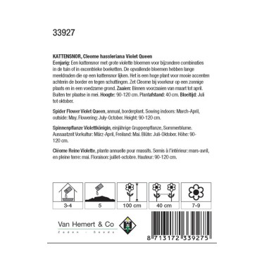 Cleome hassleriana 'Violet Queen' -zaden- Cleome hassleriana 'Violet Queen' -zaden-