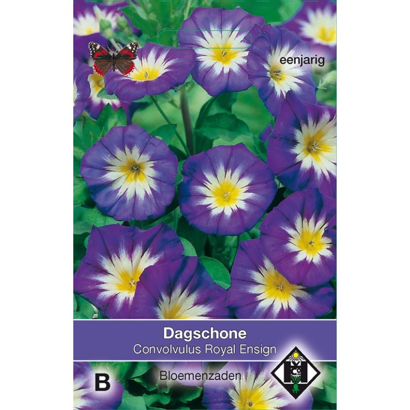 Convolvulus tricolor 'Royal Ensign' -zaden- Convolvulus tricolor 'Royal Ensign' -zaden-