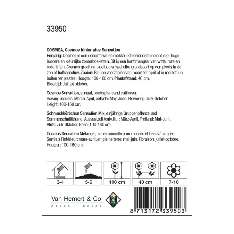 Cosmos bipinnatus 'Sensation' -zaden- Cosmos bipinnatus 'Sensation' -zaden-
