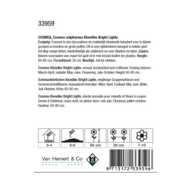 Cosmos sul. 'Klondike Bright Lights' -zaden- Cosmos sul. 'Klondike Bright Lights' -zaden-