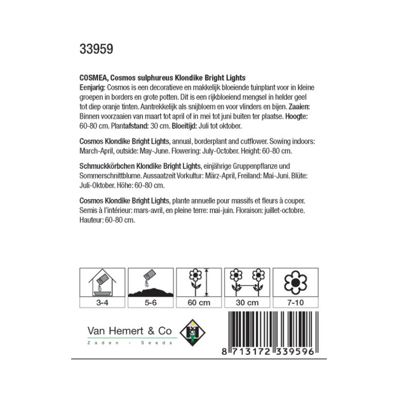 Cosmos sul. 'Klondike Bright Lights' -zaden- Cosmos sul. 'Klondike Bright Lights' -zaden-
