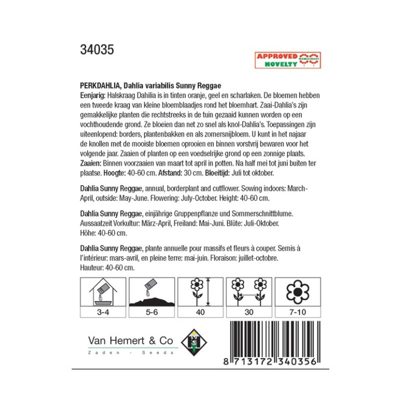 Dahlia variabilis 'Sunny Reggae' -zaden- Dahlia variabilis 'Sunny Reggae' -zaden-