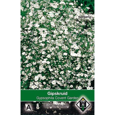 Gypsophila elegans 'Convent Garden' -zaden-