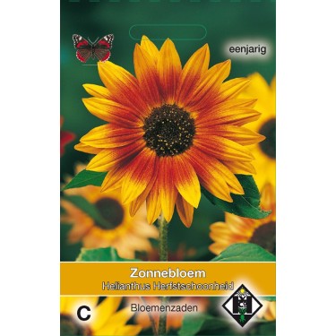 Helianthus annuus 'Herfstschoonheid' -zaden-