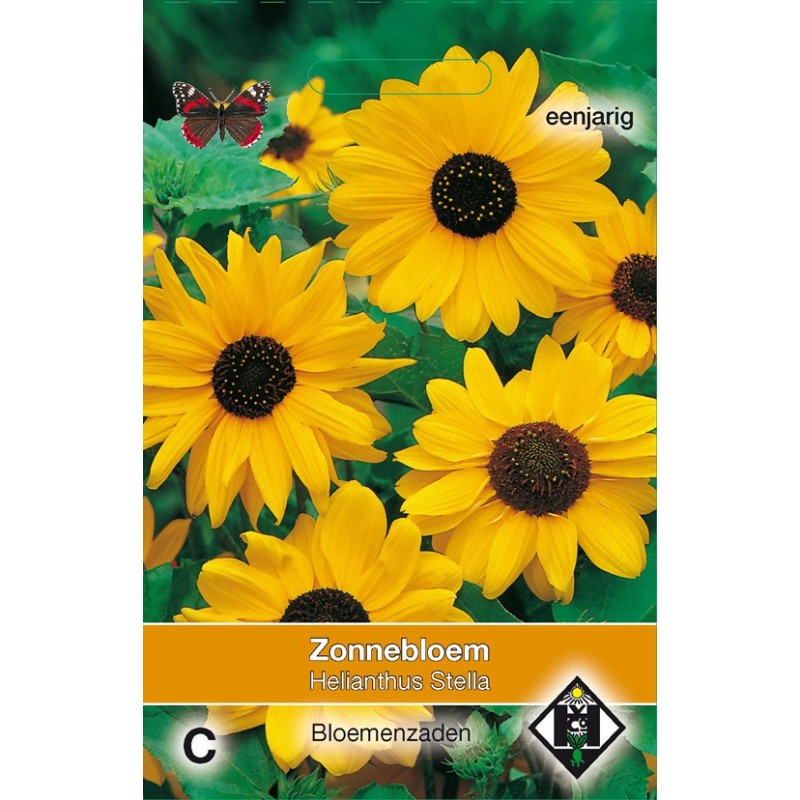 Helianthus cucumerifolius 'Stella' -zaden- Helianthus cucumerifolius 'Stella' -zaden-