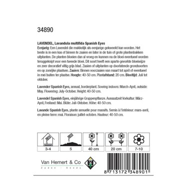 Lavandula multifida 'Spanish Eyes' -zaden-