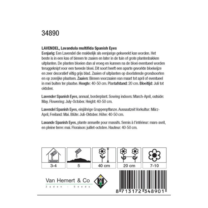 Lavandula multifida 'Spanish Eyes' -zaden-