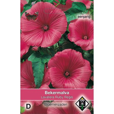 Lavatera trimestris 'Ruby Regis' -zaden-