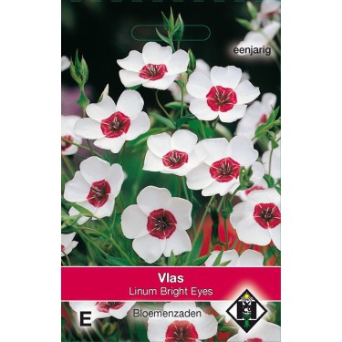 Linum grandiflorum 'Bright Eyes' -zaden-