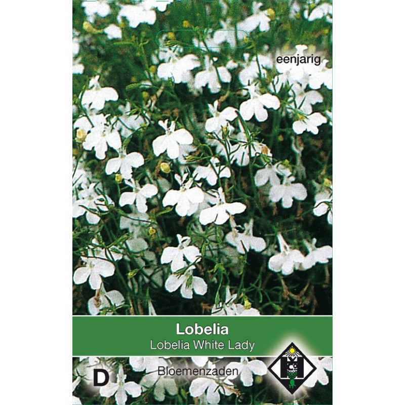 Lobelia erinus 'White Lady' -zaden-