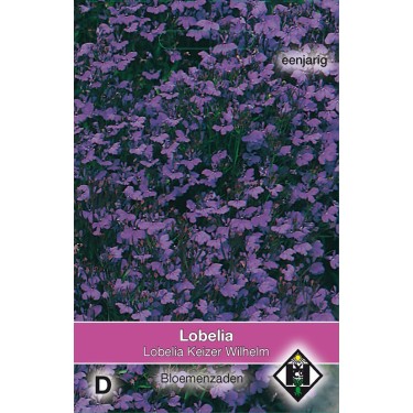 Lobelia erinus 'Keizer Wilhelm' -zaden-