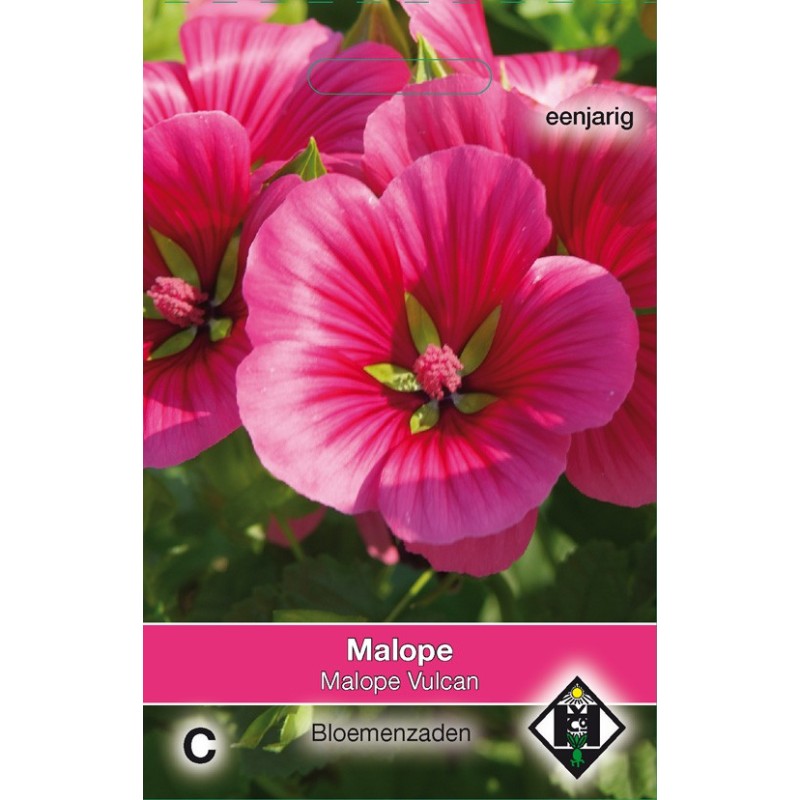 Malope trifida 'Vulcan' -zaden- Malope trifida 'Vulcan' -zaden-