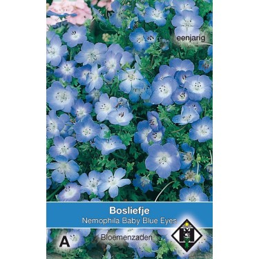 Nemophila menziesii 'Baby Blue Eyes' -zaden-