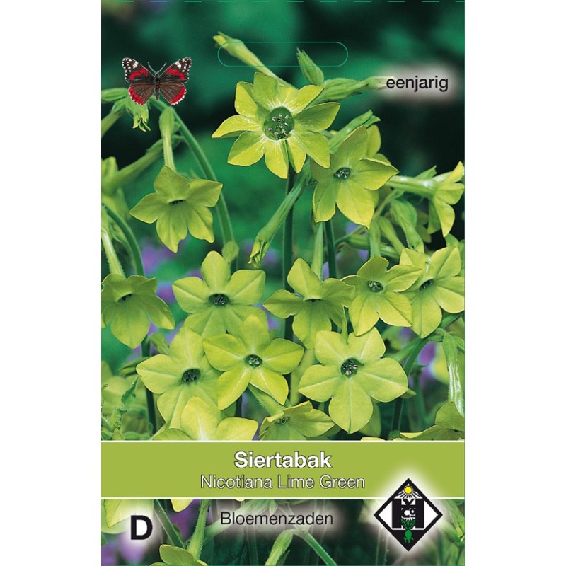 Nicotiana alata 'Lime Green' -zaden-