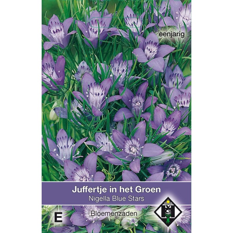 Nigella garidella 'Blue Stars' -zaden- Nigella garidella 'Blue Stars' -zaden-