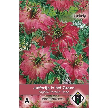Nigella damascena 'Persian Rose' -zaden-
