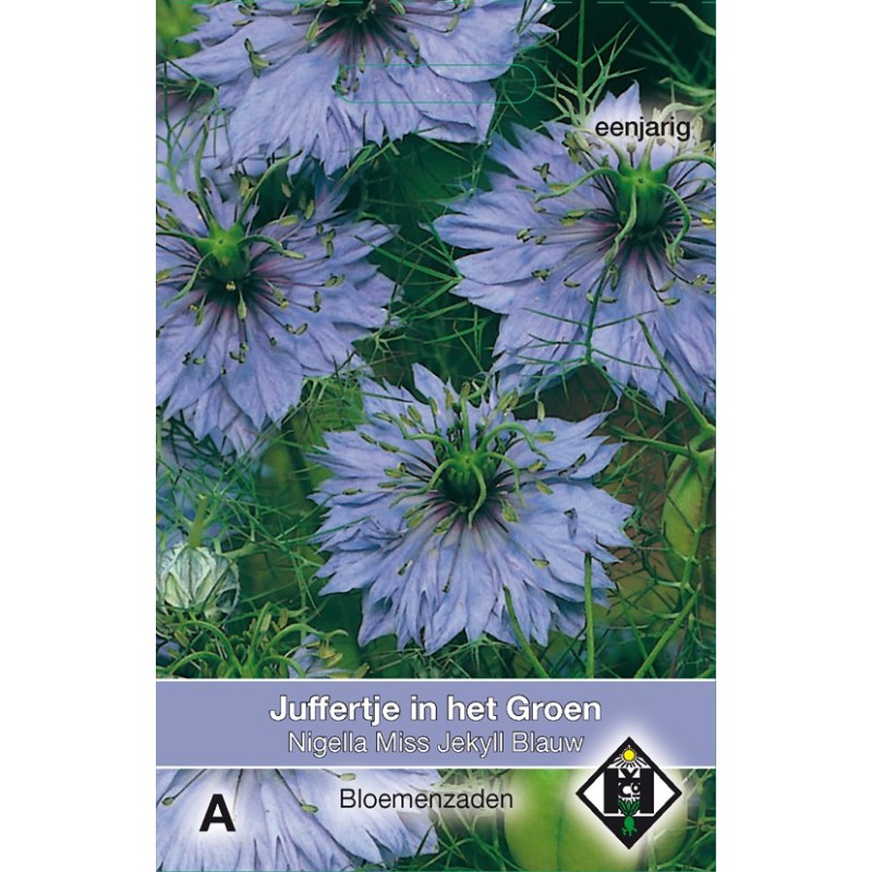 Nigella damascena 'Miss Jekyll Blauw' -zaden- Nigella damascena 'Miss Jekyll Blauw' -zaden-