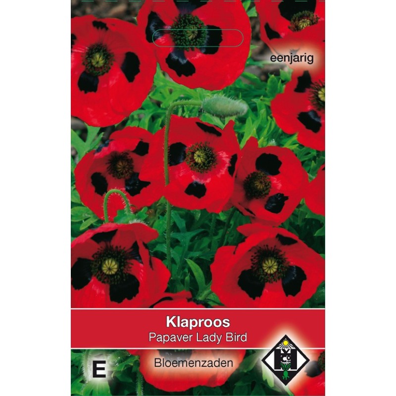 Papaver commutatum 'Lady Bird' -zaden-