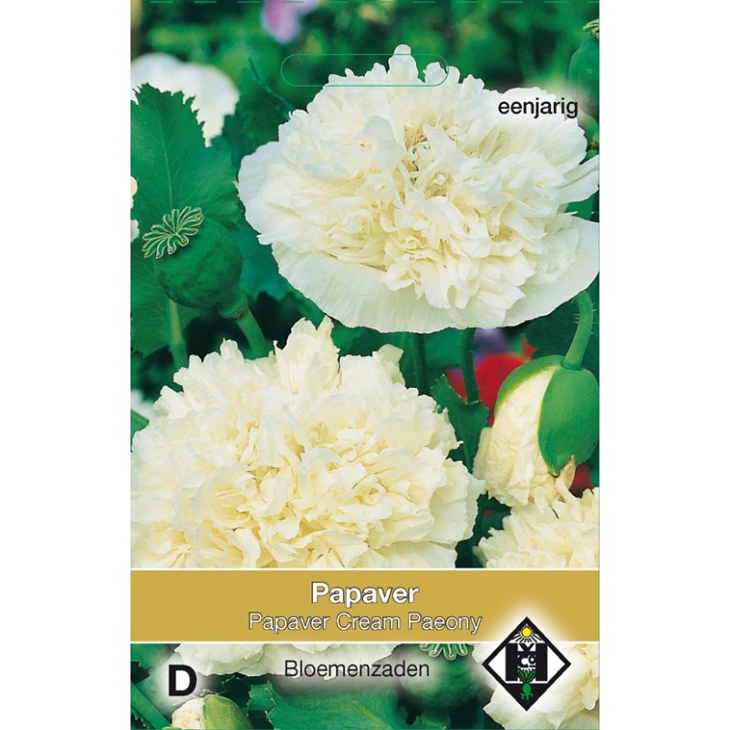 Papaver paeoniflorum 'Cream Paeony' -zaden-