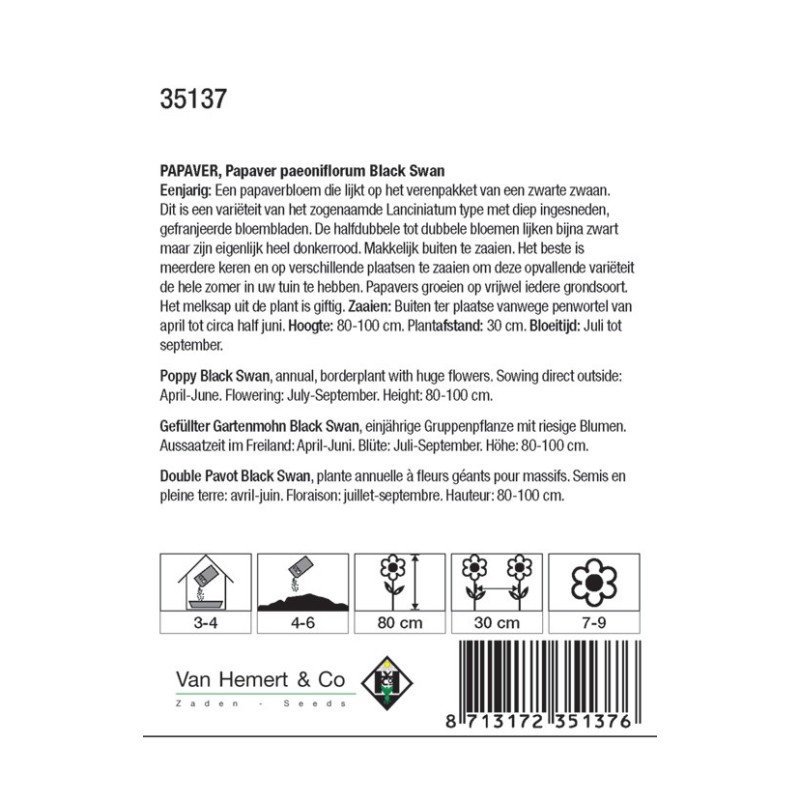 Papaver somniferum 'Black Swan' -zaden- Papaver somniferum 'Black Swan' -zaden-