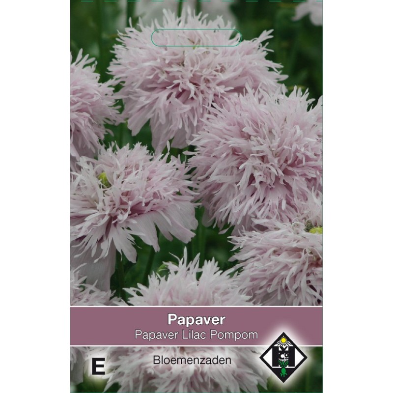 Papaver somniferum 'Lilac Pompom' -zaden- Papaver somniferum 'Lilac Pompom' -zaden-